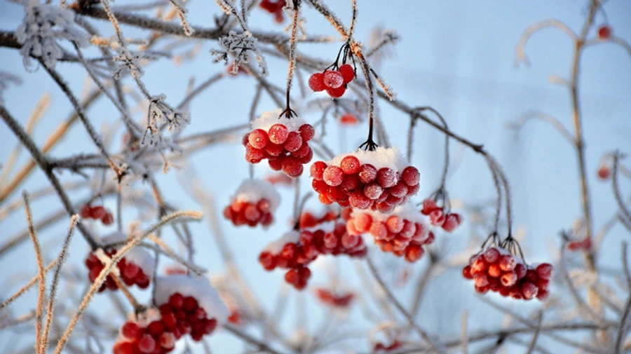 Киевлян предупреждают о сильном морозе и снегопаде