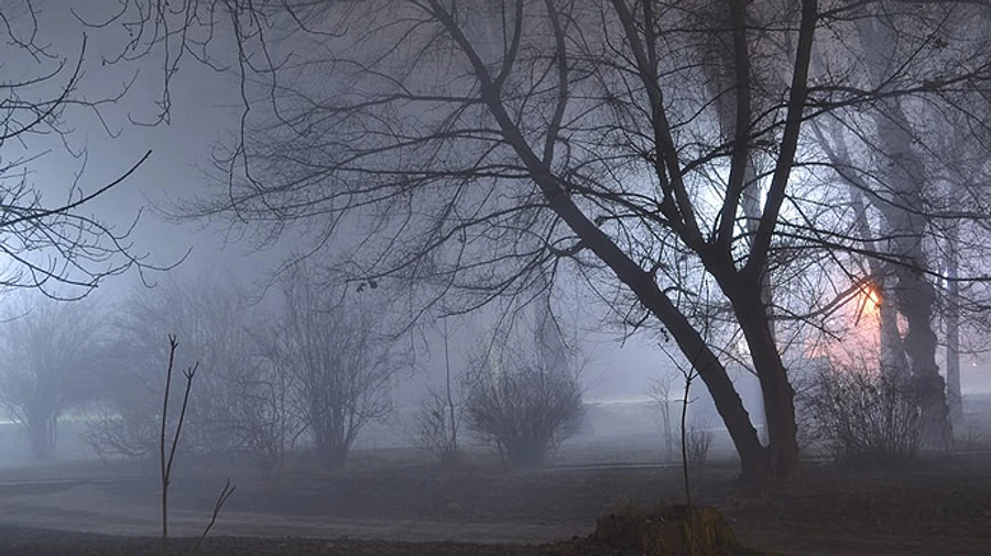 Украину окутают густые туманы, а за ними придет снег