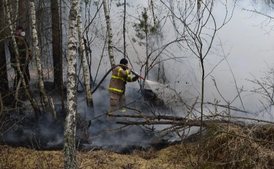 Пожары в Житомирской области ликвидируют более тысячи человек