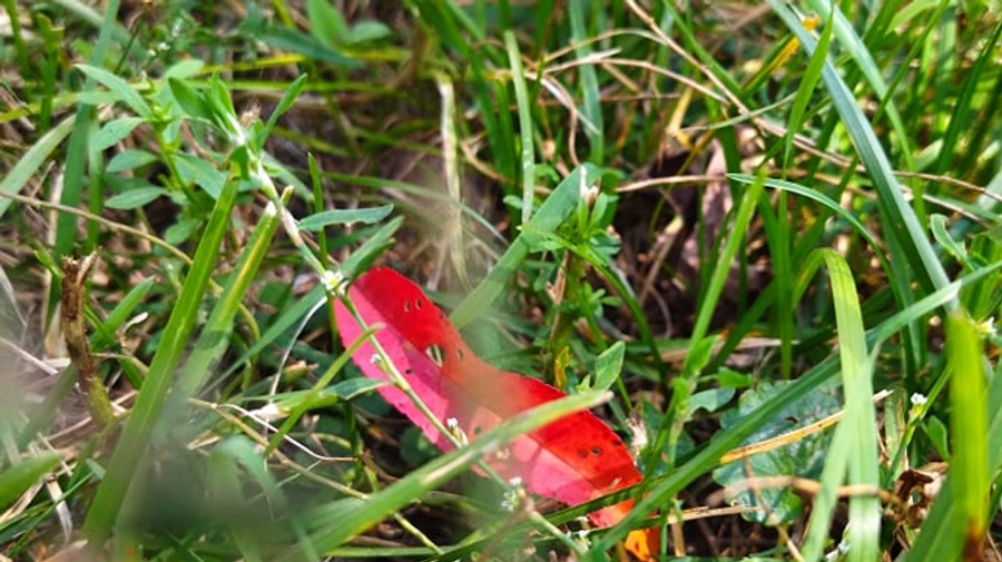 Тепло, похолодание... и снова солнце - в Украине начинаются погодные качели