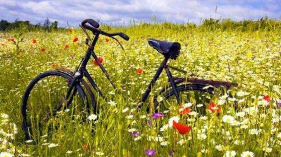 Ночью заморозки, днем до +23: в Украину идет потепление