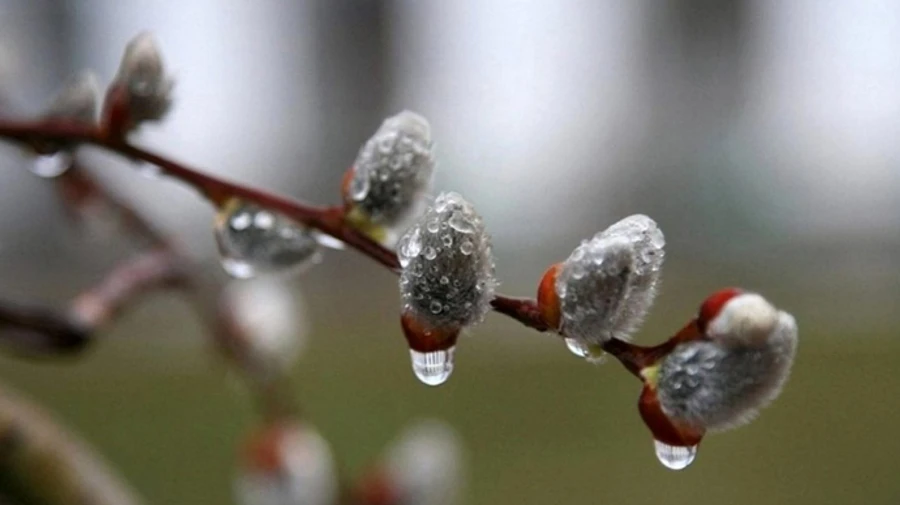 На вихідні прогнозують контрастну погоду