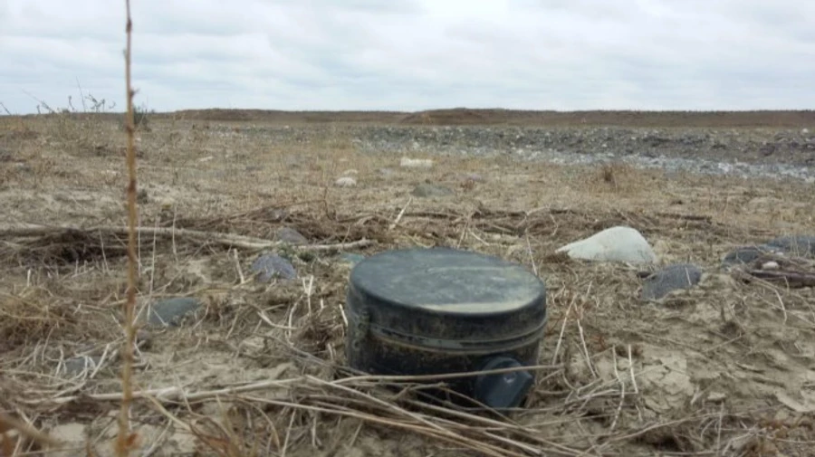 Жінка з 11-річним сином підірвалися на міні на Донбасі