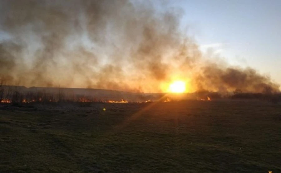 У Тернопільській області горить орнітологічний заказник