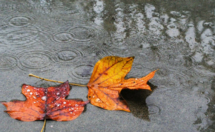 В Україну йдуть дощі