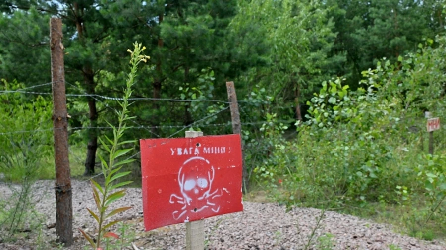 Ukraine to receive €700 million for mine clearance from partners