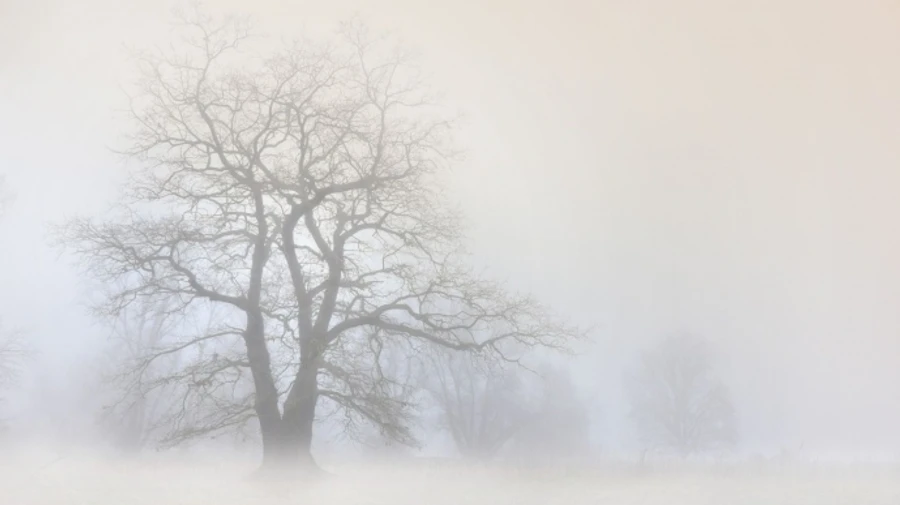 В первый день зимы Украину укроет туман