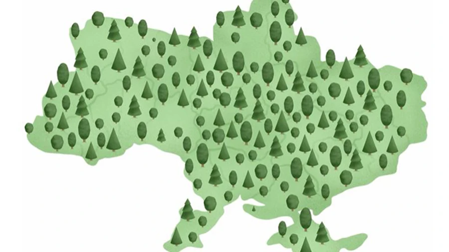 Указ Зеленського про мільярд дерев уже виконали на 3,5%