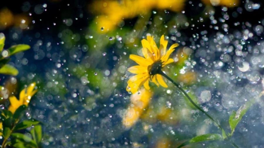 Синоптики розповіли, коли буде похолодання