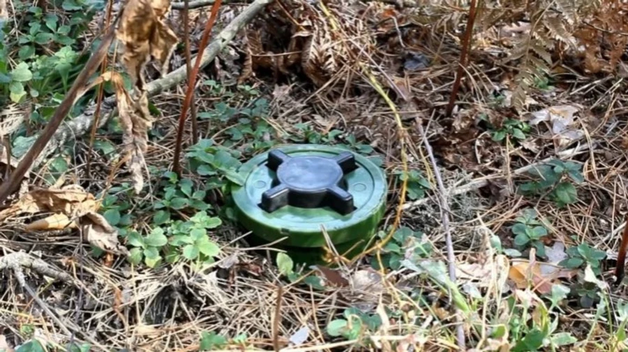 Жінка підірвалася на російській міні на Донеччині