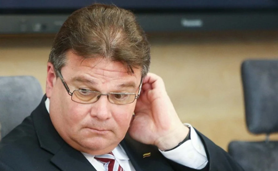 Глава МИД Литвы рассказал, как видел артобстрел в Широкино