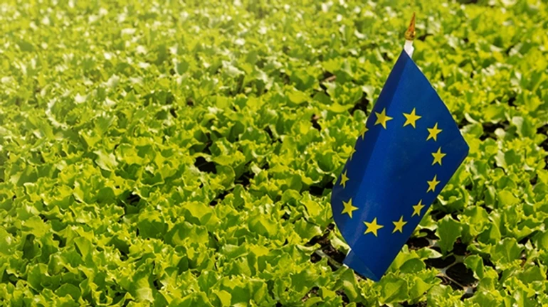 FT: EU wants to introduce higher tariffs on Ukrainian imports