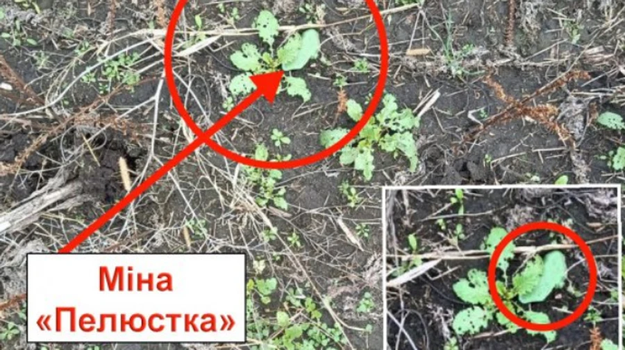 Мінна небезпека: харків'ян просять не ходити на кладовища та меморіали