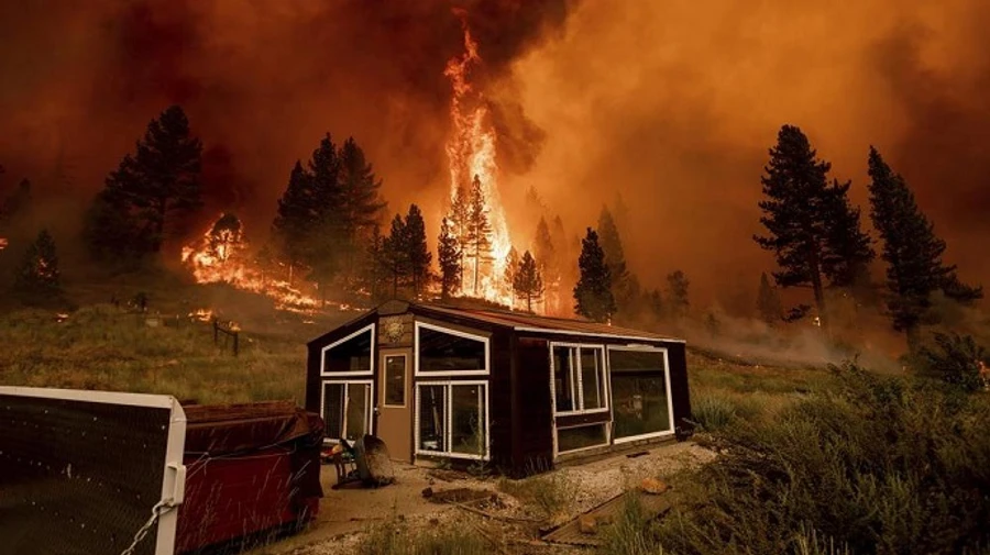 Запад США охватили масштабные пожары