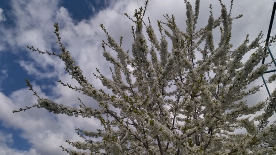 Украиной будут курсировать циклоны, но впереди +30°