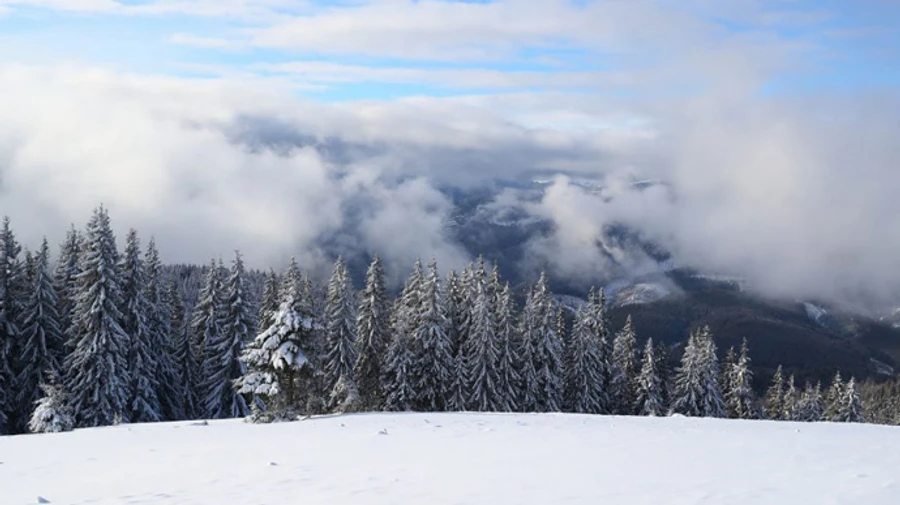 У Карпатах випало до 15 сантиметрів снігу