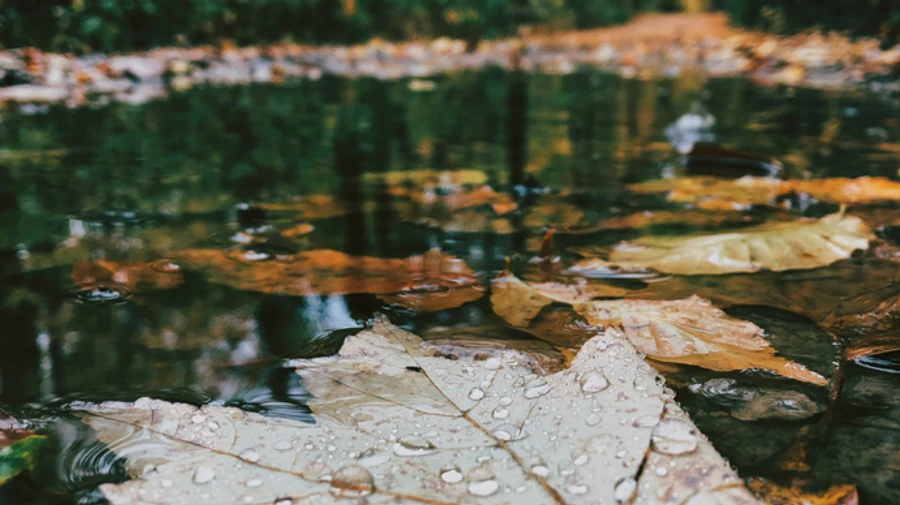 В Україну йдуть дощі і похолодання