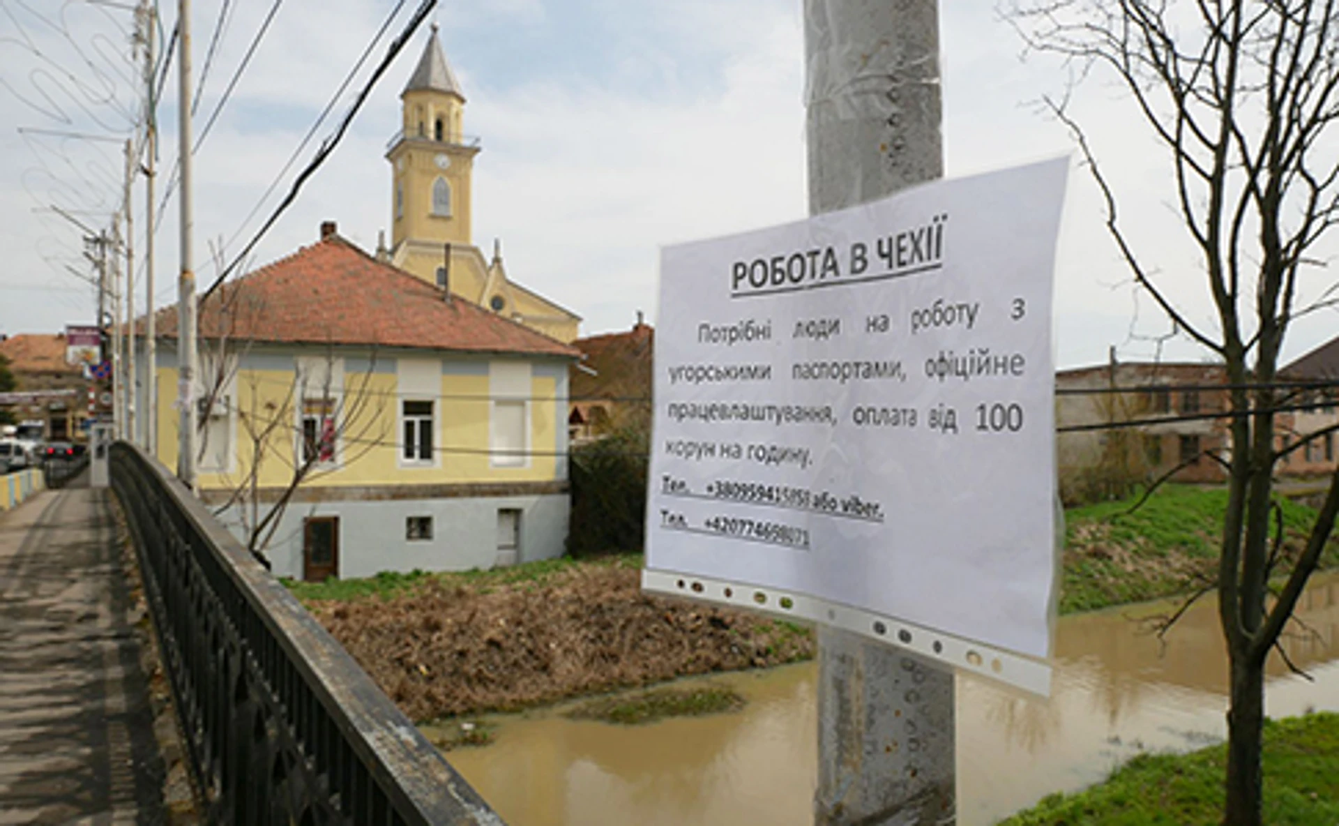 Вітя Орбан the best, або Як на Закарпатті вибирали парламент Угорщини