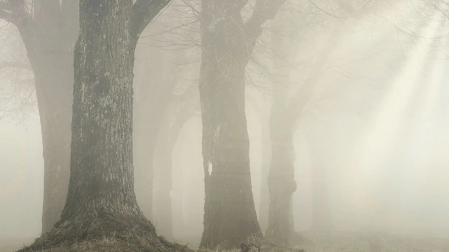 Украину в воскресенье окутает туман, температура около нуля