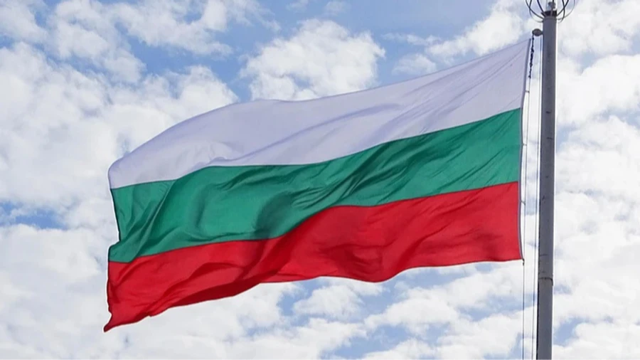 Болгария просит у НАТО весь спектр систем для противодействия дронам из-за атак в Чёрном море