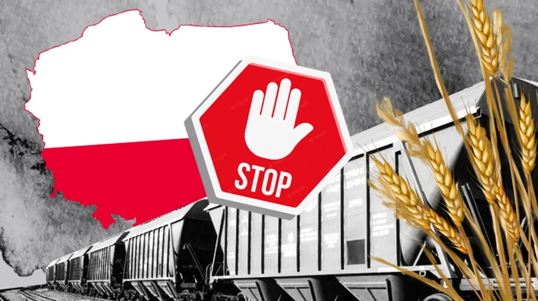 Ніж у спину? Як проблеми з українським агроекспортом вплинуть на ціни, курс та економіку