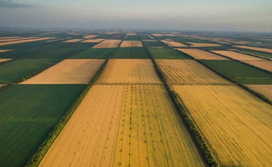 Батьківщина, стурбована землею, зареєструвала законопроєкт про лобістів
