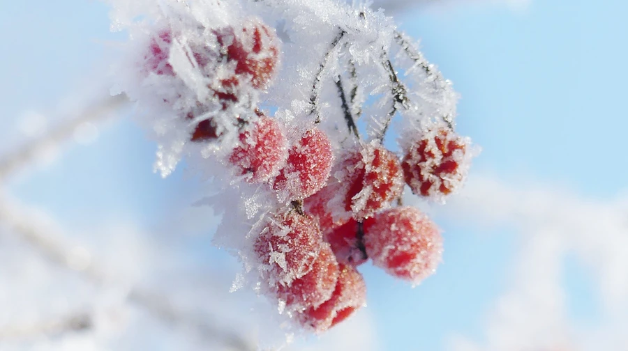 It will be cold in Ukraine, it will snow in some places, sometimes down to -22° at night