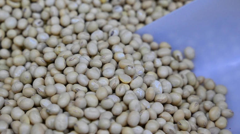 Китай переходить на дешевшу бразильську сою після виконання зобов'язань перед США