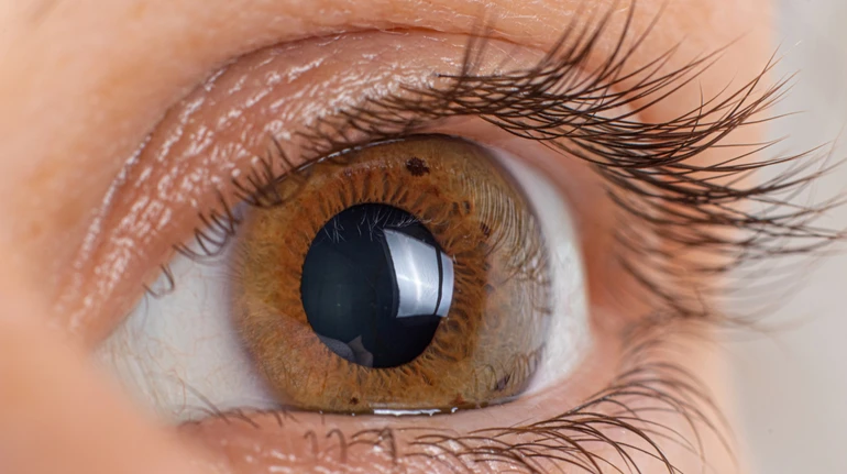 В Іспанії з луски риб створили штучну рогівку ока: вона може стати альтернативою донорської