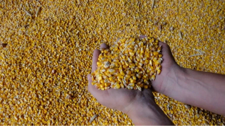 Ucrânia rastreia navios que transportam grãos roubados pela Rússia, diz Ministério das Relações Exteriores