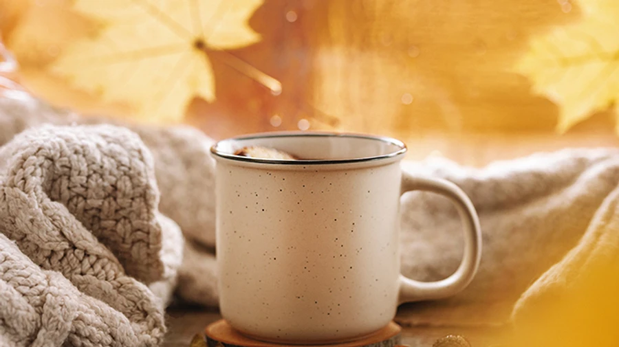 Украину охватит сухой осенний холод — синоптики