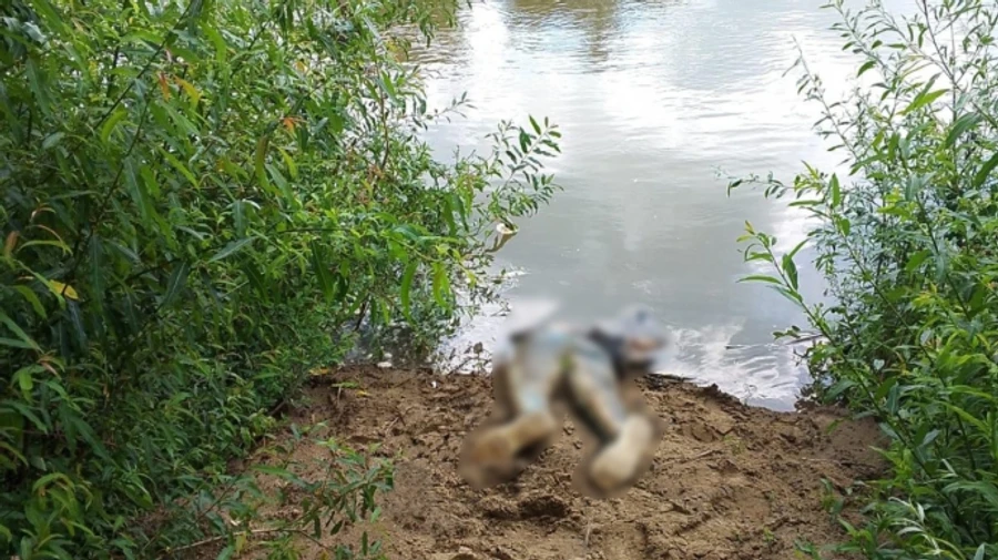 На границе с Венгрией из Тисы достали тело утопленника: 35 с начала большой войны