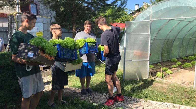 Діти з сиротинців вчаться вирощувати овочі та заробляти гроші: як працює проєкт Наша теплиця