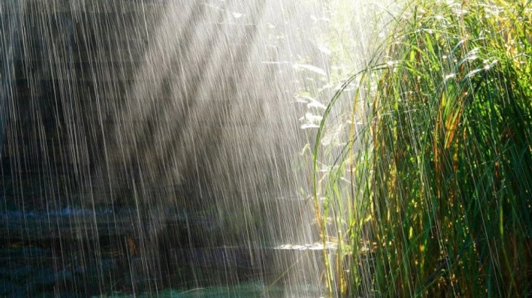 Погода в воскресенье: жара, грозовые дожди и град