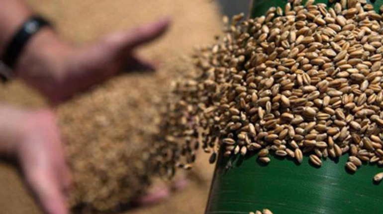 Золоті яйця, дорога олія і цукор: Чому в Україні ростуть ціни на продукти