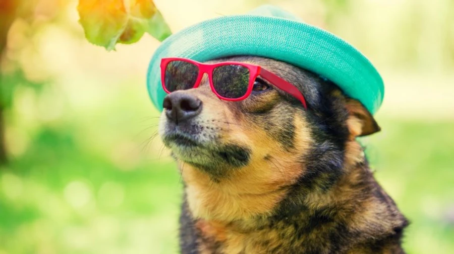 Погода в Украине: жара усилится, местами до +39 градусов