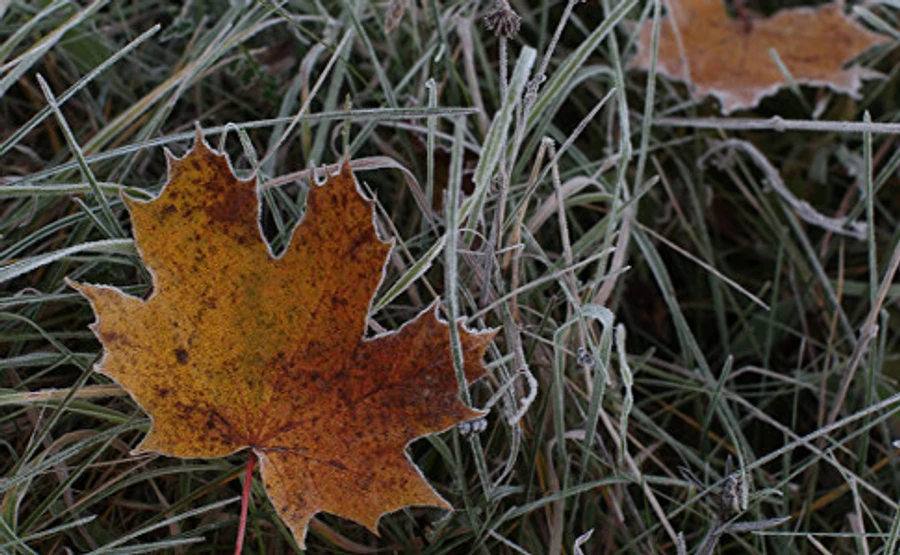 Синоптик розповіла, коли чекати перших морозів 