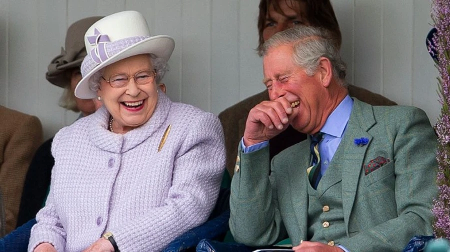 Лондонцы высмеяли подаренную Норвегией обгрызенную елку