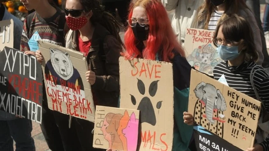 У Києві та інших містах проходить Марш за права тварин