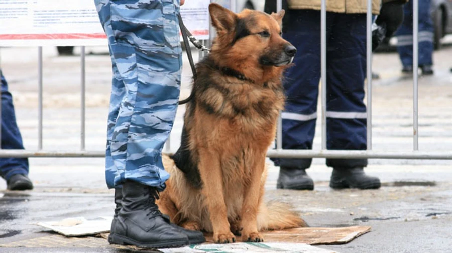 В Одессе заминировали аэропорт, порт, больницы и еще кучу объектов