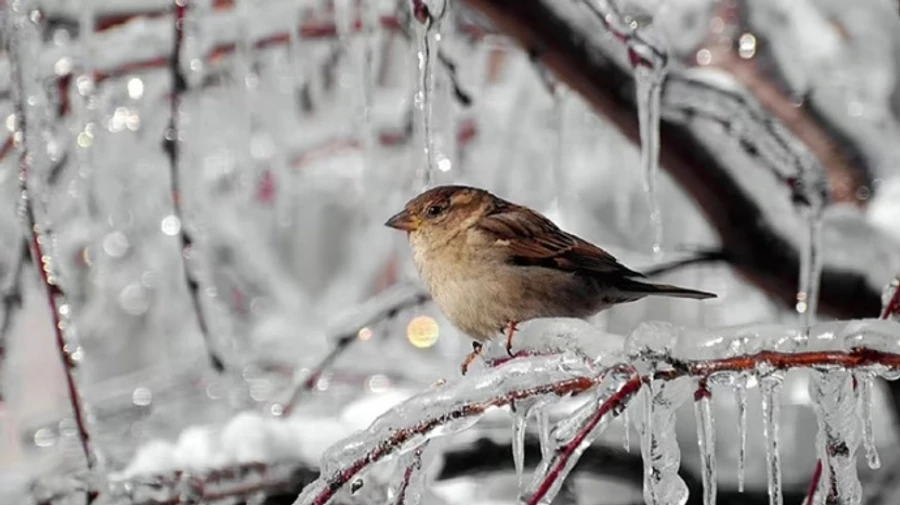 Ночью морозы, днем минимальное тепло – погода на вторник