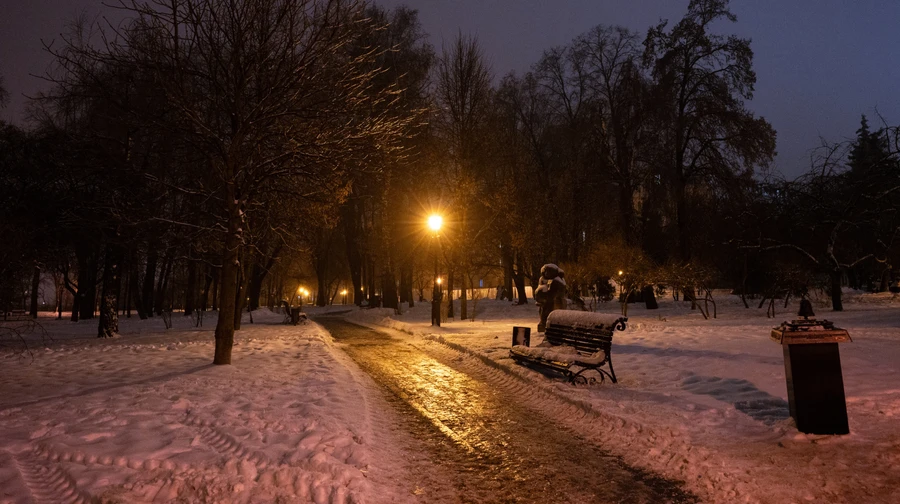 The government recommends switching to remote learning and working due to bad weather