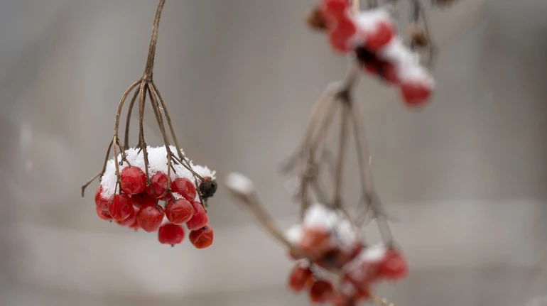 На вихідних морози в Україні посиляться