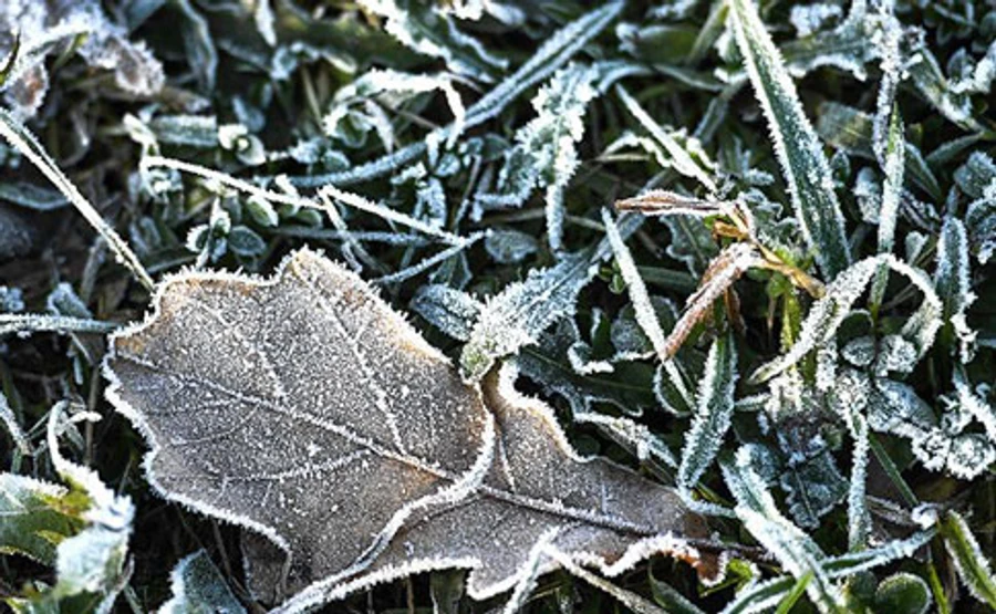 ГСЧС предупреждает о сильных заморозках и грозах