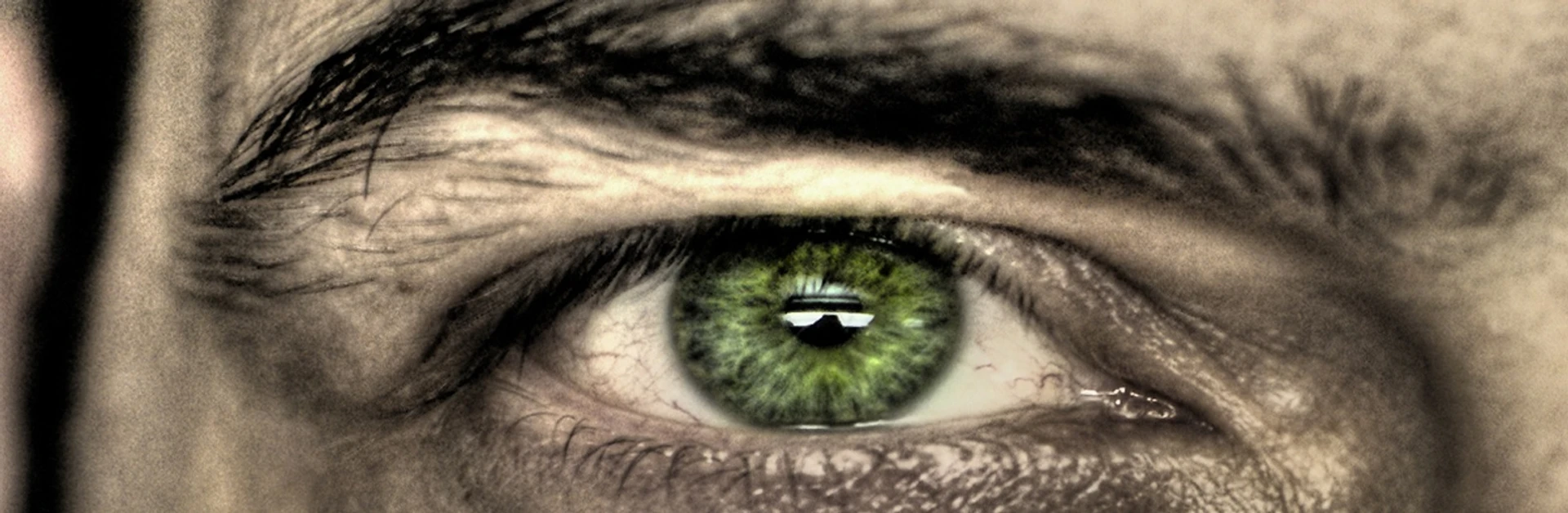 Глазами Путина