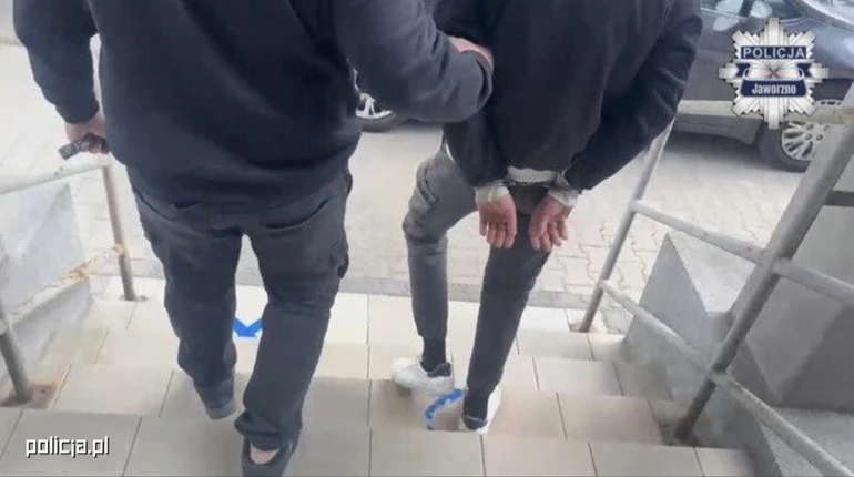 У Польщі чоловік домагався підлітки та її матері за допомогою ШІ