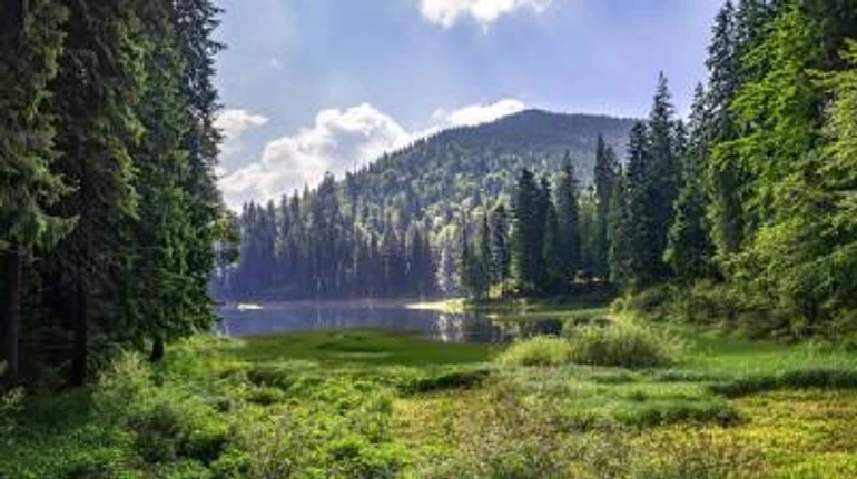 #СтежкамиУкраїни. 10 найцікавіших місць Закарпаття