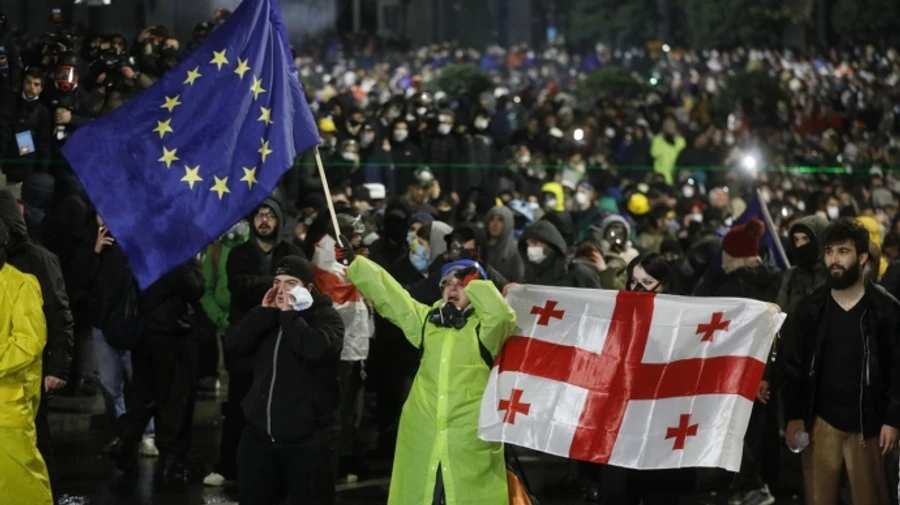 Німеччина запровадила санкції проти посадовців, причетних до придушення протестів у Грузії