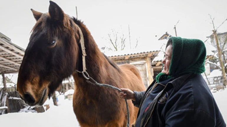 Без коня ты просто селянин, с лошадью – хозяин: репортаж из уникального села на Черниговщине