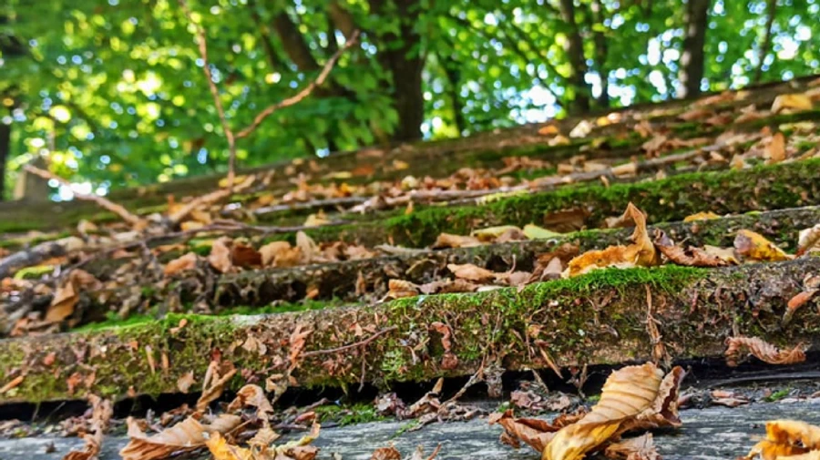 Ближайшие дни еще порадуют теплом без дождей